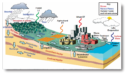 Filtration systems services